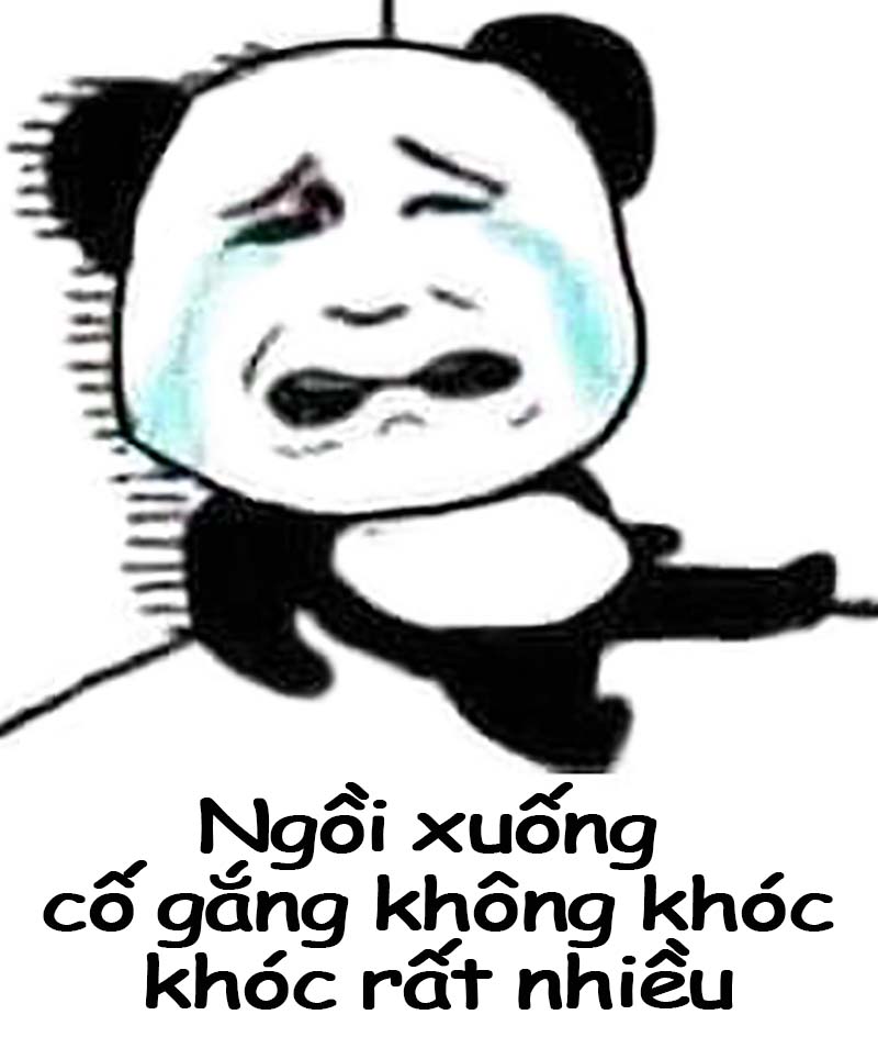 Tải hình ảnh meme Gấu Trúc khóc