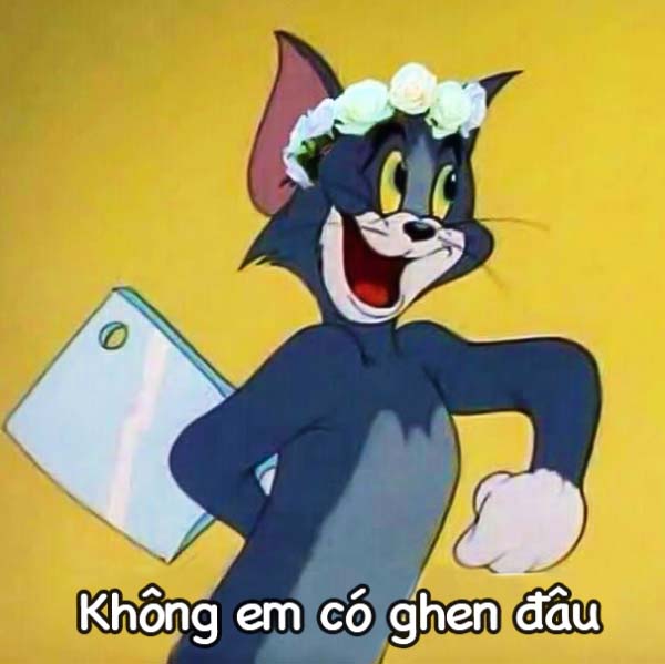 Tải ảnh chế, meme mèo Tom