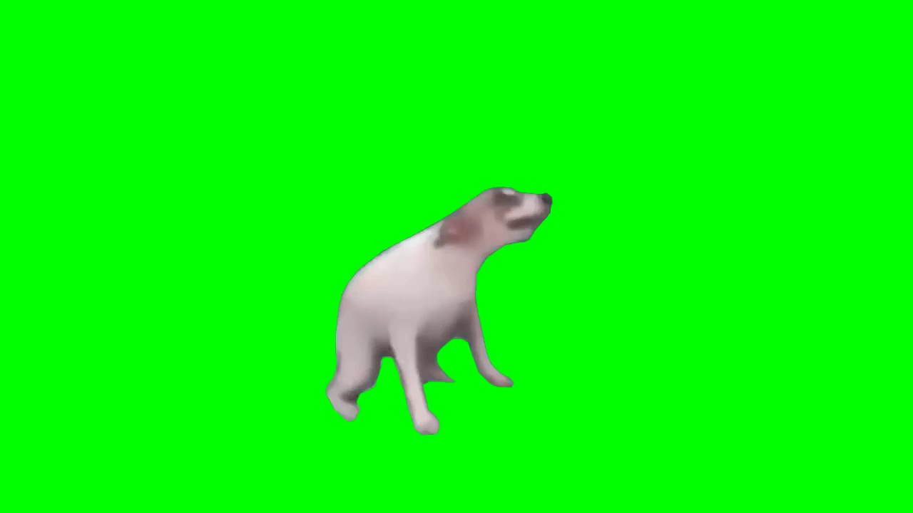 Video Crazy DOG Dance green screen